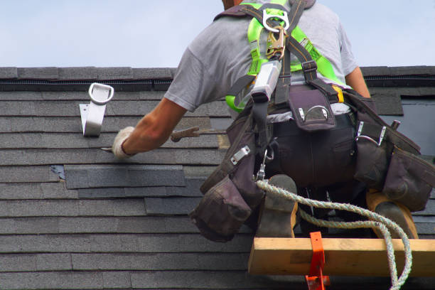 Best Flat Roof Repair Services  in Mount Olive, NC