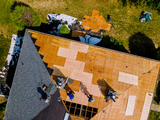 Best Metal Roofing Contractor  in Mount Olive, NC