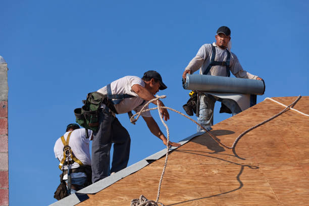 Best Roof Gutter Cleaning  in Mount Olive, NC