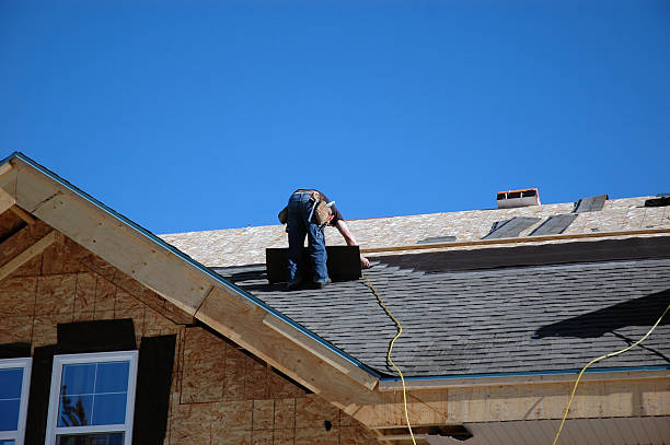 Best Metal Roofing Contractor  in Mount Olive, NC