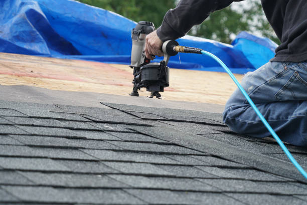 Best Residential Roofing Contractor  in Mount Olive, NC