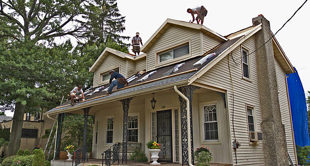 Best Residential Roof Replacement  in Mount Olive, NC